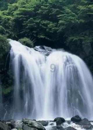 探索知识星球平台-尽享第四题 赵无忌 几岁时候把当皇帝机会给了朱元璋?的无尽知识宝藏